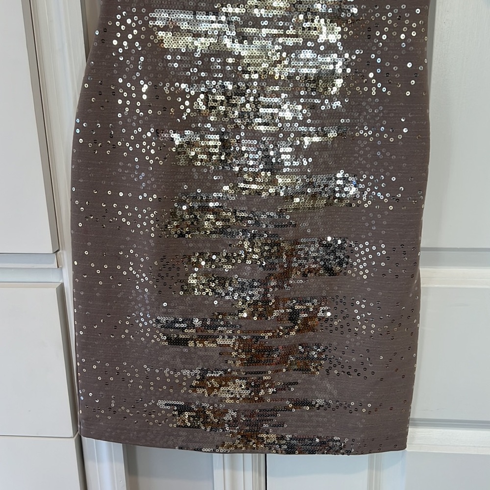 Bcbg Max Azria Size Extra Small Sequence, Taupe D… - image 3